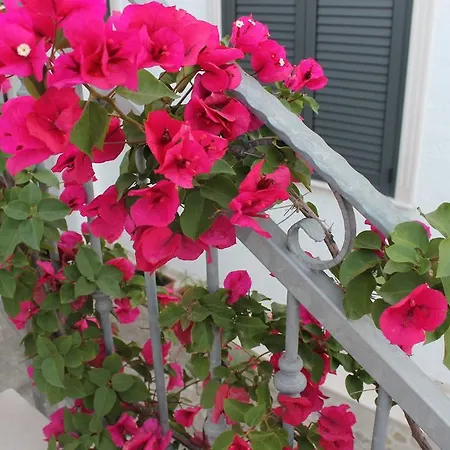 Mari Lu' Маруджо