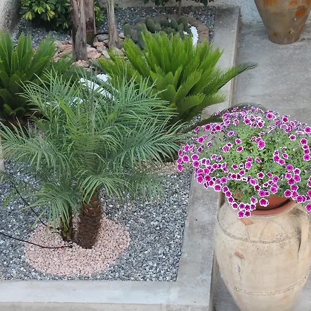 Mari Lu' Отель типа 