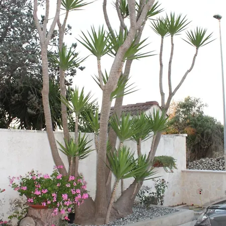 Mari Lu' Отель типа 